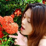 Kyoko Nakajima 中島京子 Paradise