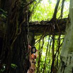 Kyoko Nakajima 中島京子 Paradise