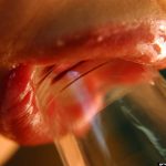 Mai Kitamura 喜多村麻衣 Milk fez