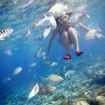 Nao Yoshizaki 吉崎直緒 Happy Island