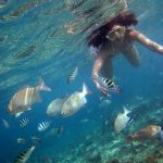 Nao Yoshizaki 吉崎直緒 Happy Island