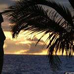 Ray Ito 伊東怜 Nirvana