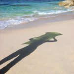 Rio Kitajima 喜田嶋りお Beyond the sky