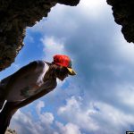 Rio Kitajima 喜田嶋りお Beyond the sky