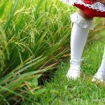 Soara 星空 Pentiful Rays