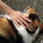 Chinatsu Izawa 伊沢千夏 Presentiment