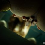 Mari Misaki 美咲マリ Aldebaran