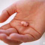 Miyu Hoshino ほしのみゆ Layrinth