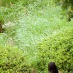 Kana Yume 由愛可奈 The more radical