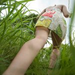 Kana Yume 由愛可奈 The more radical