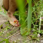 Kana Yume 由愛可奈 The more radical