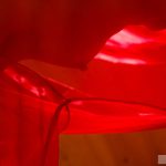 Miyuki Yokoyama 横山美雪 Blossoms