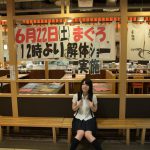 Ai Uehara 上原亜衣 Secret Diary