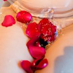 Haruki Sato さとう遥希 Harukichi