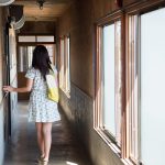 Nana Ayano 彩乃なな Whimsical cat