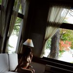 Nami Hoshino 星野ナミ Evolution