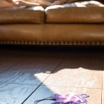 Sora Shiina 椎名そら In Color