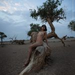 夏冰 清風胡楊 1