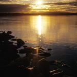 Zhao XinYing Rainbow