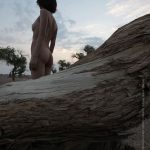 夏冰 清風胡楊 1