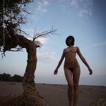 夏冰 清風胡楊 1