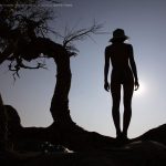 夏冰 – 清風胡楊 -2