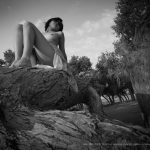 夏冰 – 清風胡楊 -2