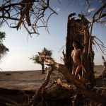 XIA BING 夏冰 – 清風胡楊 3