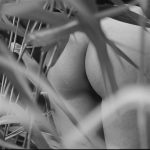 Rui Yan Intoxicating Dusk