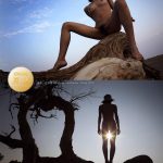 夏冰 清風胡楊 1