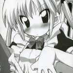 Hayate the adult gamer!!