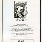 Hayate the adult gamer!!