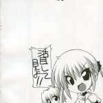 Hayate the adult gamer!!