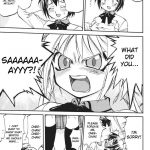 Kore ga Watashi no Teisoutai Plus!