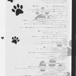 MAHOU SYOUJO MOENEKO RON