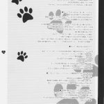 MAHOU SYOUJO MOENEKO RON