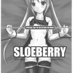 SLOEBERRY
