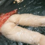 Nao Yoshizaki (吉崎直緒) – All for You