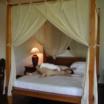 Misa Nishida 西田美沙