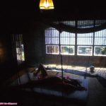 Rino Kisaki 木崎梨乃