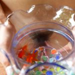 Nao Yoshizaki 吉崎直緒