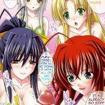 euphoria ~High SchoolDxD~