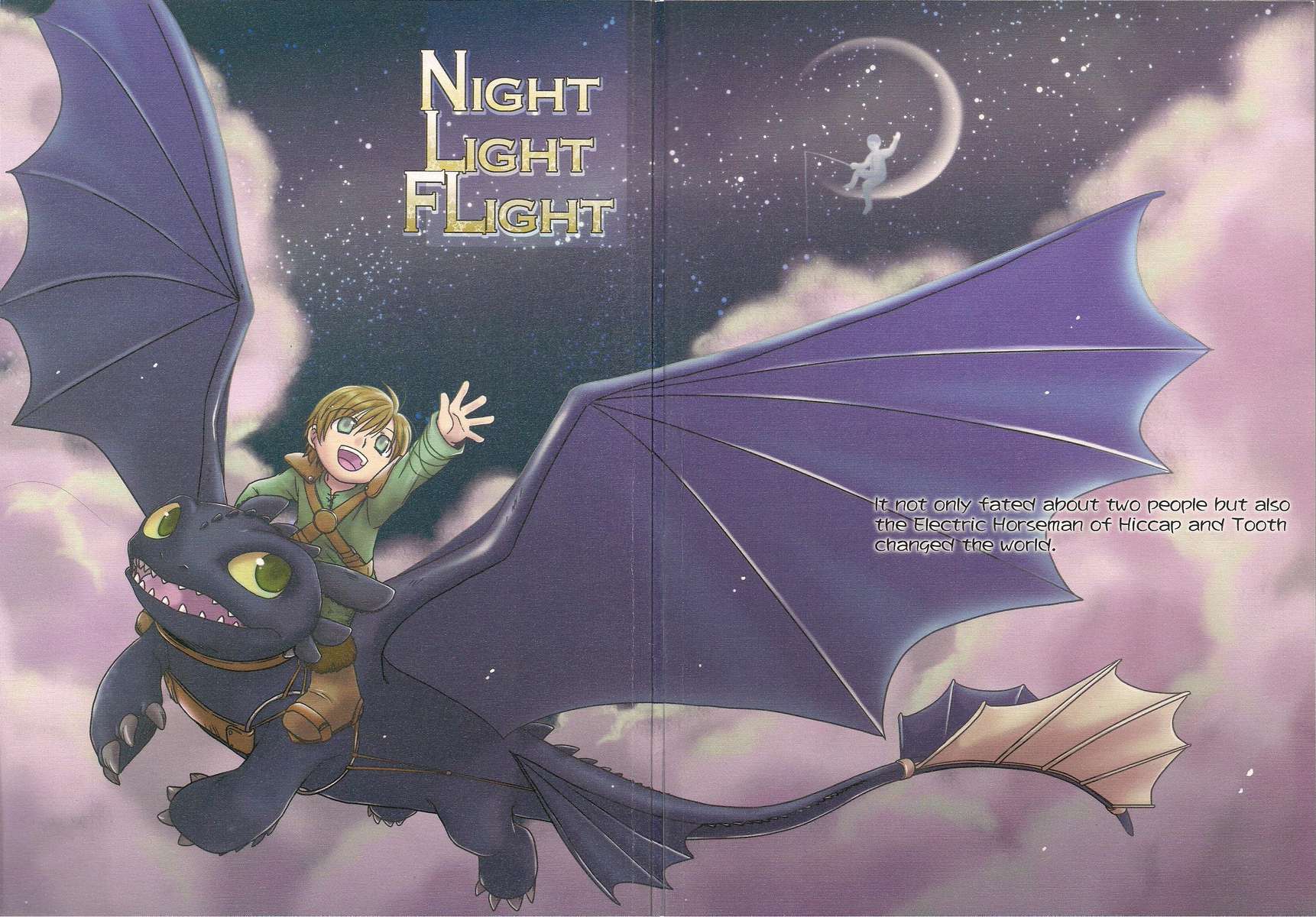 Night Light Flight