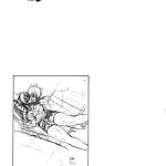 Spring Strawberry Vol.3