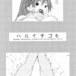 Spring Strawberry Vol.5