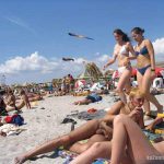Nudism Party Beach Hot Girls