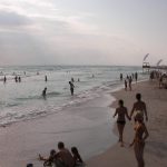 Nudism Party Beach Hot Girls