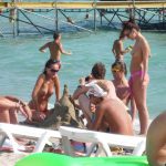 Nudism Party Beach Hot Girls