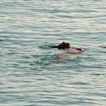 Nudism Party Beach Hot Girls