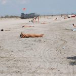 Nudism Party Beach Hot Girls